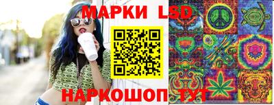 прущие грибы Владивосток