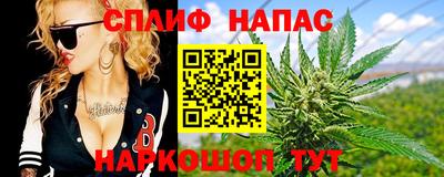 прущие грибы Владивосток