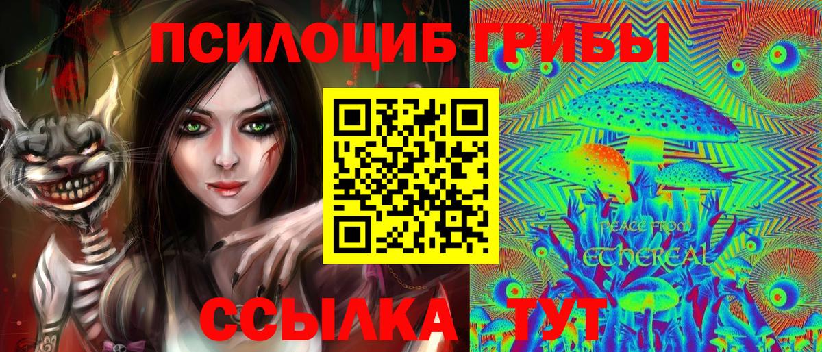 Псилоцибиновые грибы MAGIC MUSHROOMS Брянск